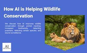 AI in Wildlife Research: Studying Animal Behavior